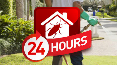 24-hour-pest-control-warner-robins-georgia.jpg
